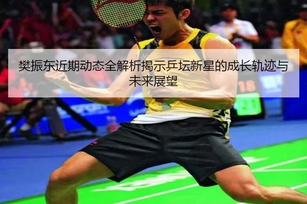 樊振东近期动态全解析揭示乒坛新星的成长轨迹与未来展望