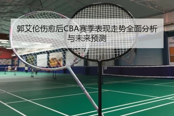 郭艾伦伤愈后CBA赛季表现走势全面分析与未来预测