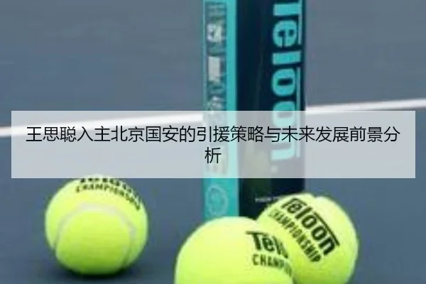 王思聪入主北京国安的引援策略与未来发展前景分析